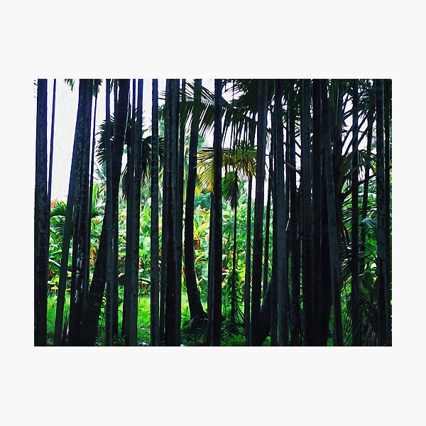 Green Grass Outdoor Trees Plant Nature Photographic Print