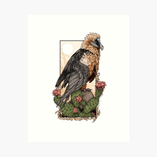Bearded vulture tattoo | Colorful bird tattoos, Realistic bird tattoo,  Birds tattoo