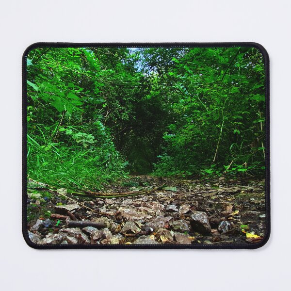 Item preview, Stone forest path designed and sold by C.l S.