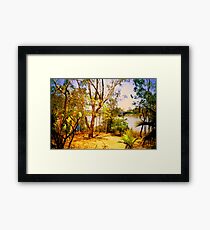 Glade Framed Print