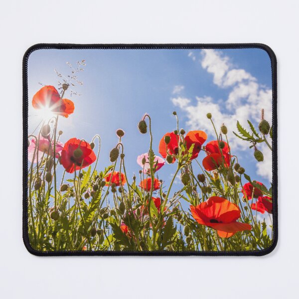 Item preview, Corn poppies on a meadow in Germany designed and sold by dieterich.