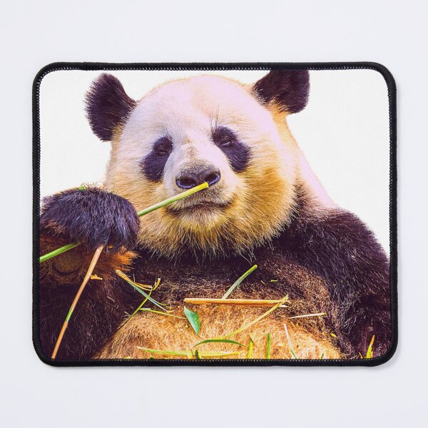 Item preview, Happy Panda having a Snack! designed and sold by Surfing Designs.Life.