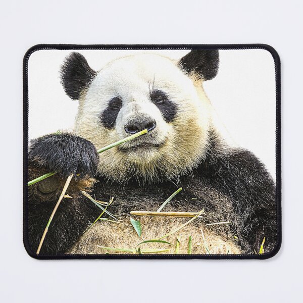 Item preview, Copy of Happy Panda having a Snack! designed and sold by Surfing Designs.Life.