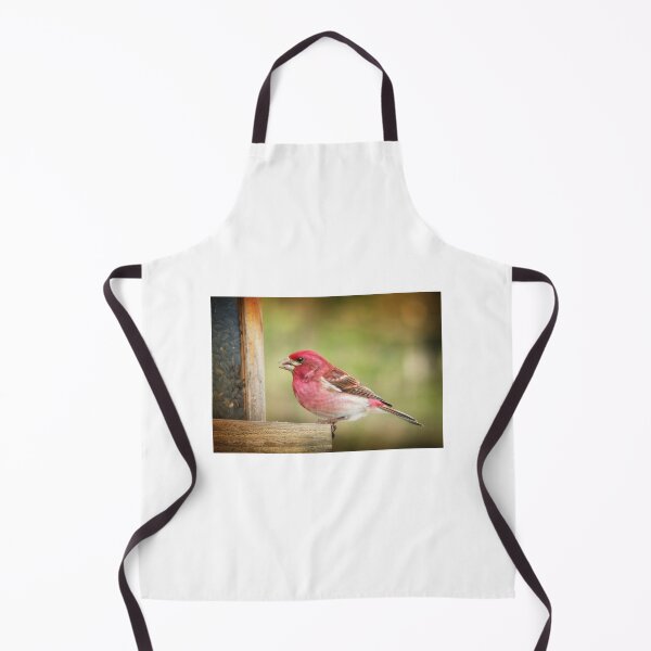 Item preview, Purple Finch designed and sold by Gisele Bedard.