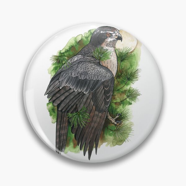 Item preview, Northern Goshawk in Pines designed and sold by windfalcon.