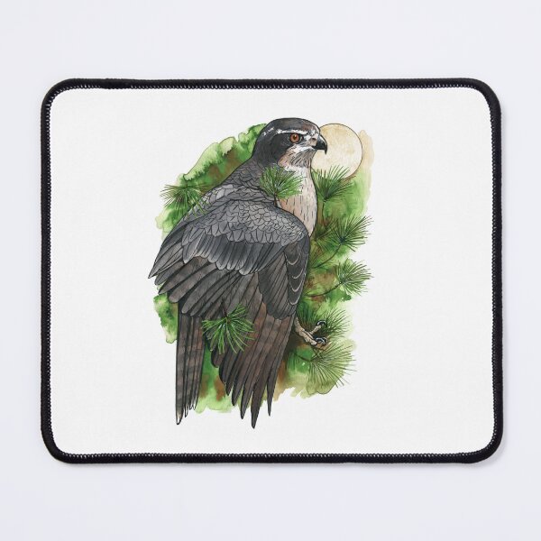 Item preview, Northern Goshawk in Pines designed and sold by windfalcon.