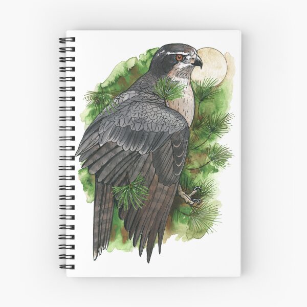 Item preview, Northern Goshawk in Pines designed and sold by windfalcon.