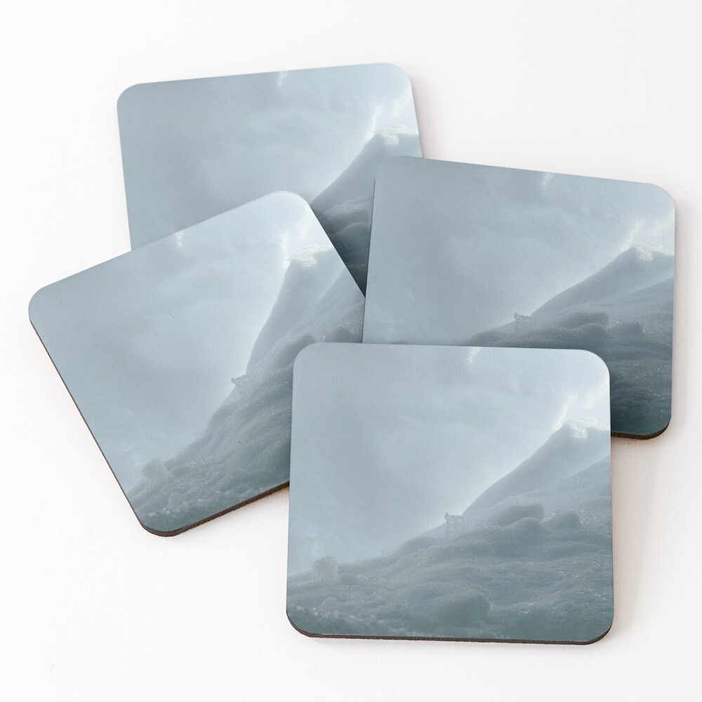 Item preview, Coasters (Set of 4) designed and sold by micmac.