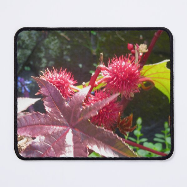 Item preview, Spiky plant designed and sold by Shulie1.