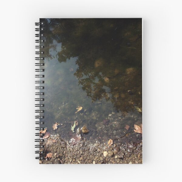 Item preview, Reflection of sun at the banks of a river designed and sold by LuminusProject.