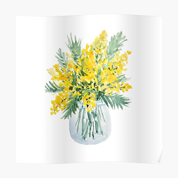 Yellow mimosa flowers bouquet watercolor painting Poster