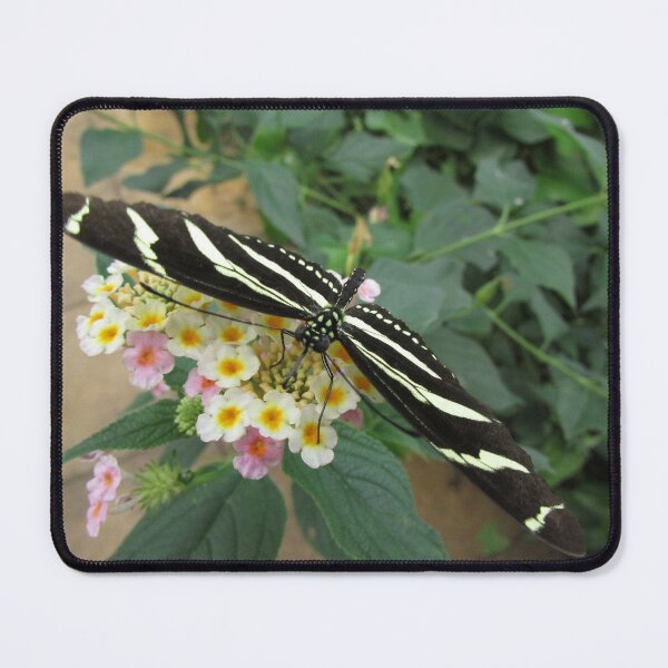 Item preview, White and Black Tropical Butterfly designed and sold by delightedtodraw.