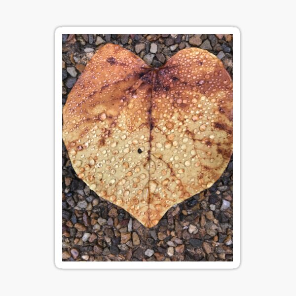 Heart Leaf #1 Sticker