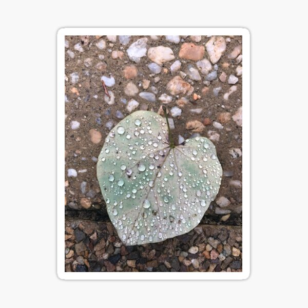Found Hearts 2 Sticker