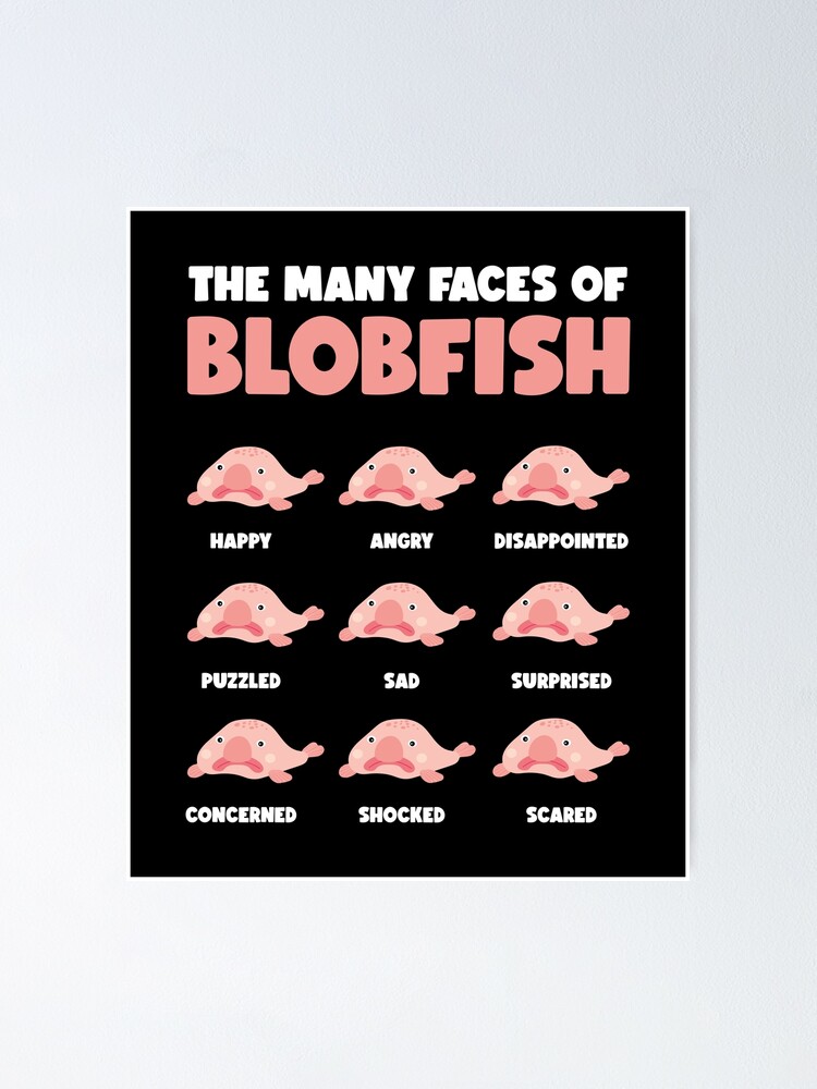 Faces Of Blobfish Fish Gift Funny Blobfish Poster by Lenny Stahl