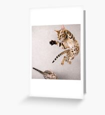I bet you can't do this... Greeting Card