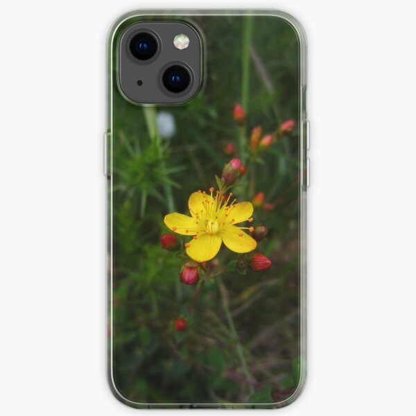 Slender St John's Wort iPhone Soft Case