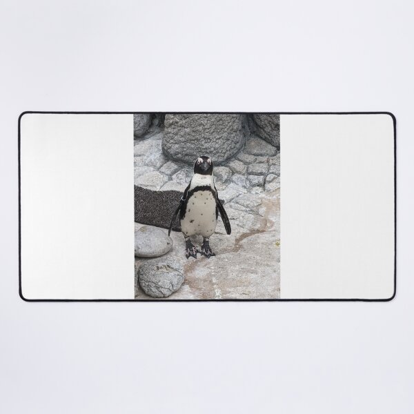 Item preview, Penguin designed and sold by searchlight.