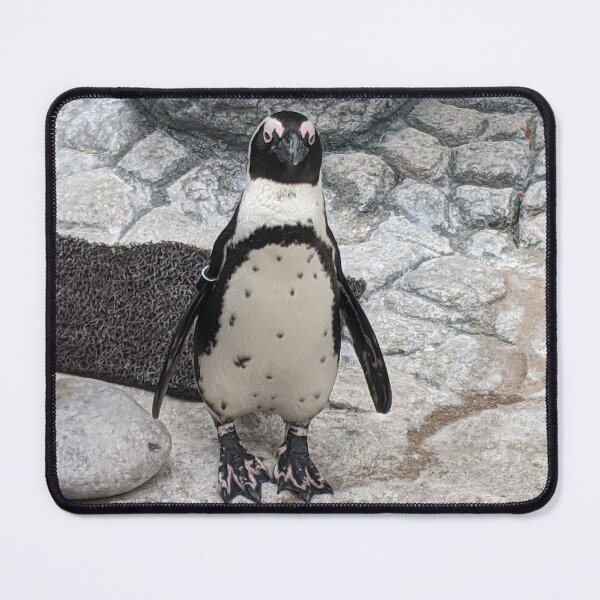 Item preview, Penguin designed and sold by searchlight.
