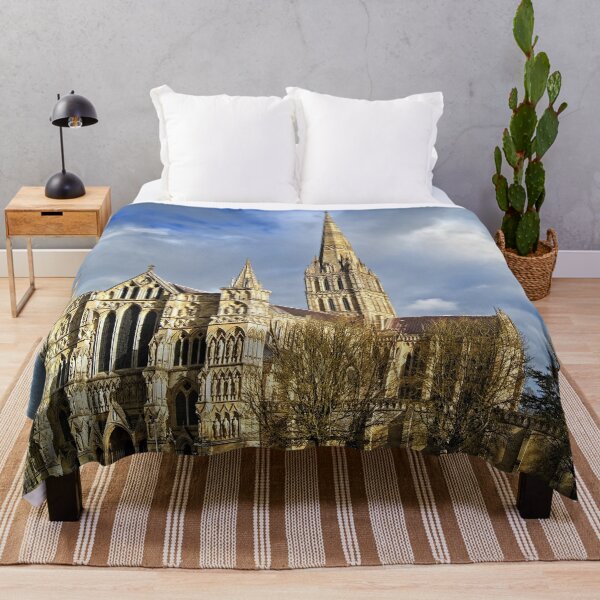 Item preview, Salisbury Cathedral designed and sold by galpinimages.