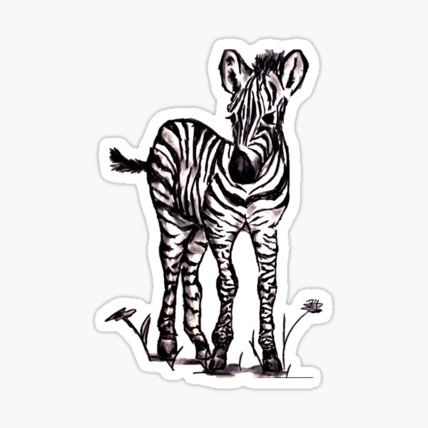 Item preview, Black and White Zebra  designed and sold by maryhop.
