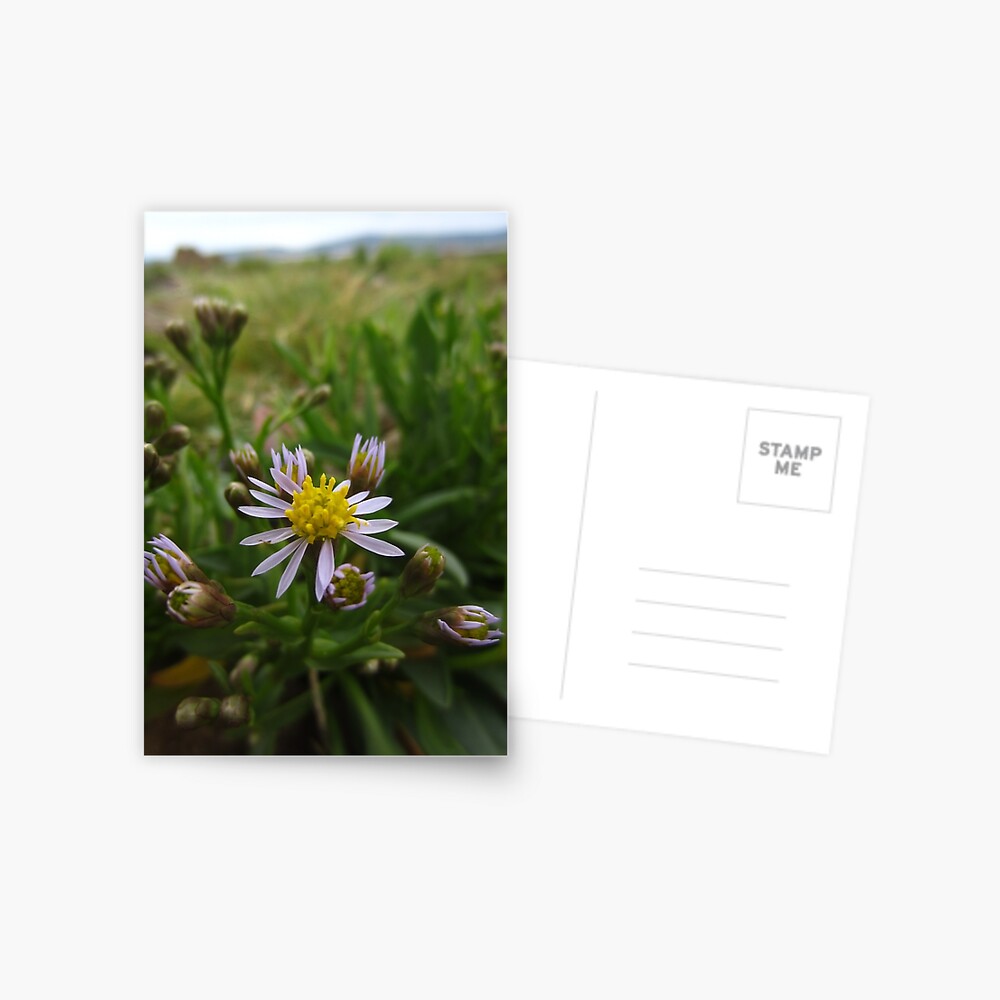 Item preview, Postcard designed and sold by IOMWildFlowers.