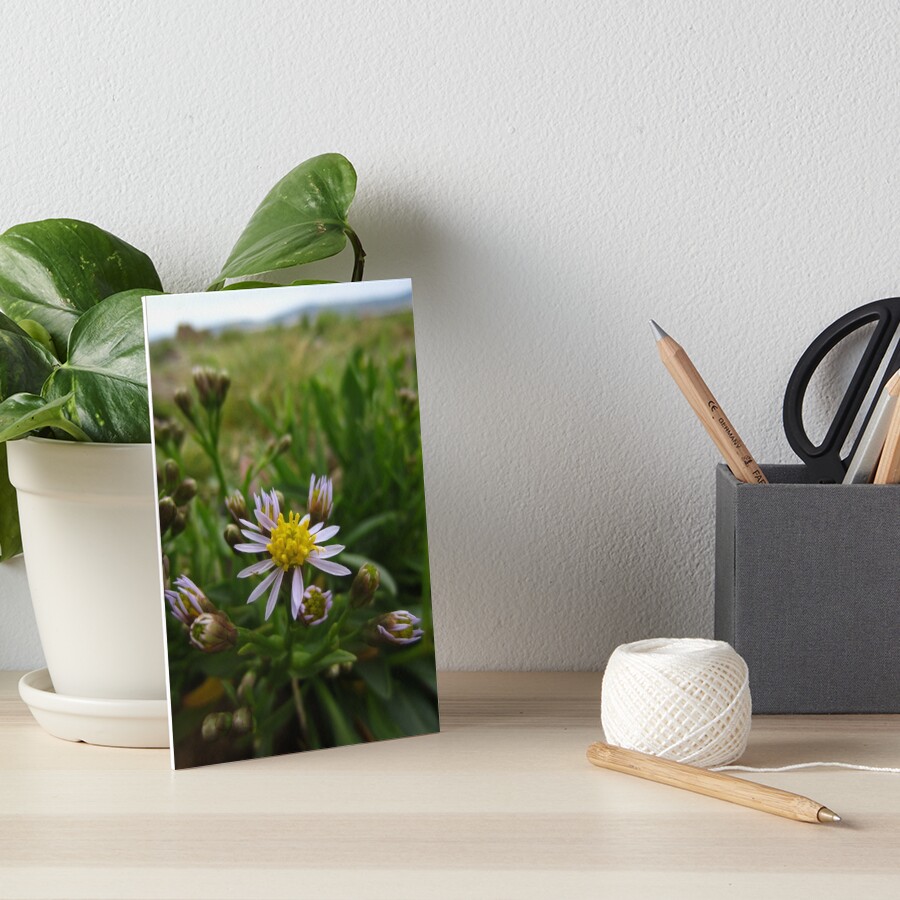 Item preview, Art Board Print designed and sold by IOMWildFlowers.