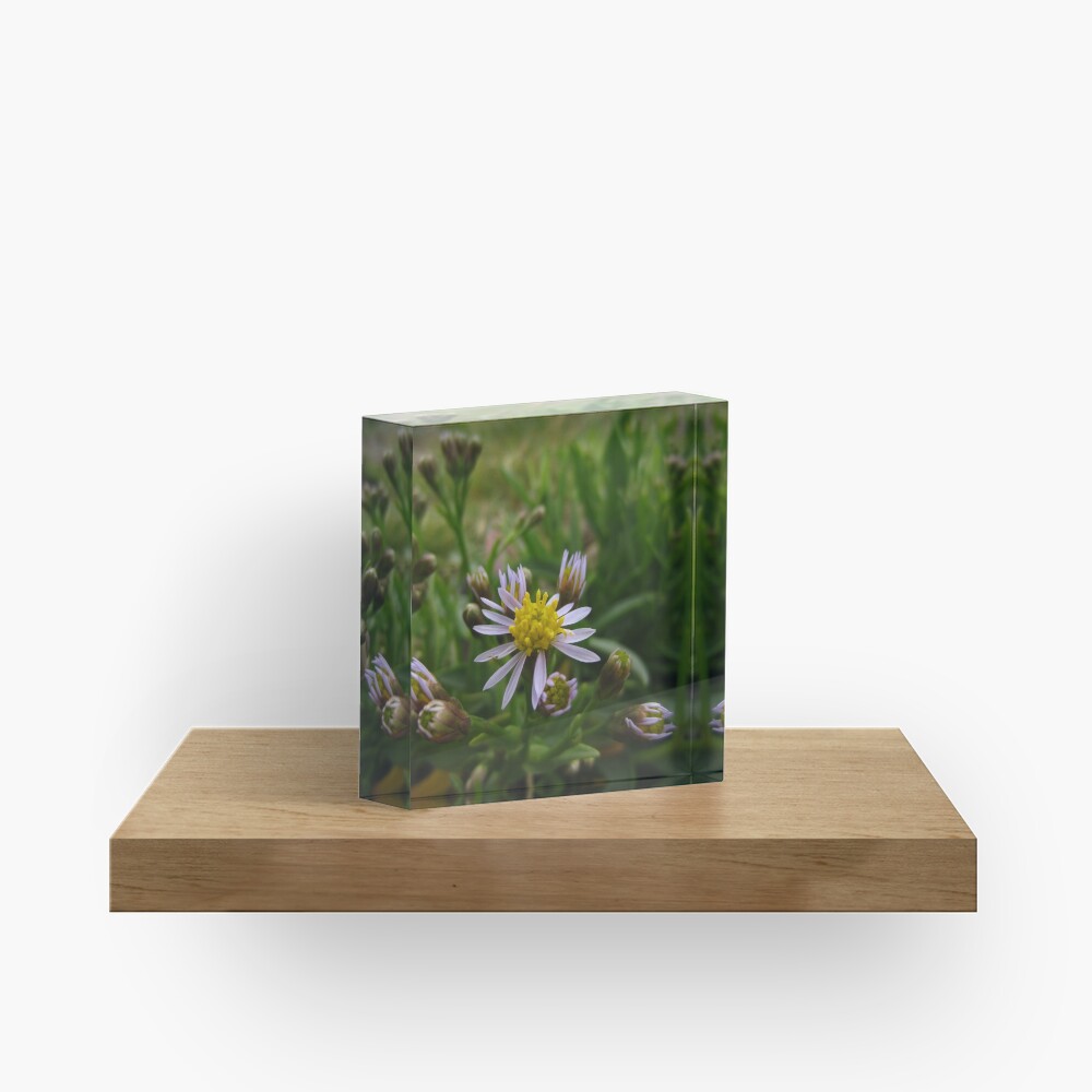 Item preview, Acrylic Block designed and sold by IOMWildFlowers.