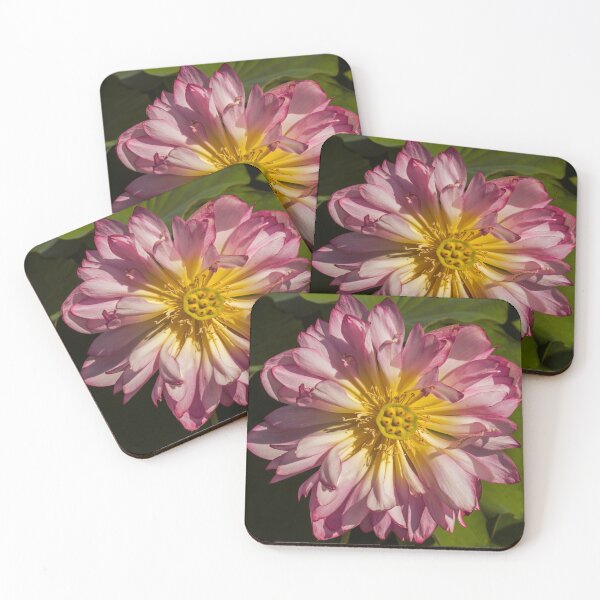 Item preview, Lotus Wonder designed and sold by Susan  Nixon.