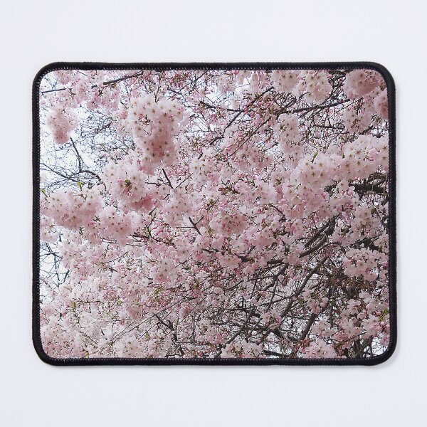 Item preview, Cherry Blossom Peak Bloom  designed and sold by Yolanda Designs.