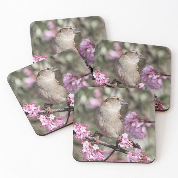 Item preview, r693/ Un Amour de Moineau   " Les Oiseaux du jardin " simply life " to Okaio Créations - Olavia-Olao  designed and sold by o.okaïo.