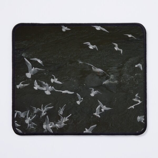 Item preview, Gulls on the River designed and sold by Laura Cronin.