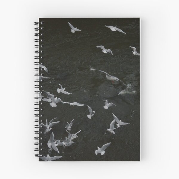 Item preview, Gulls on the River designed and sold by Laura Cronin.