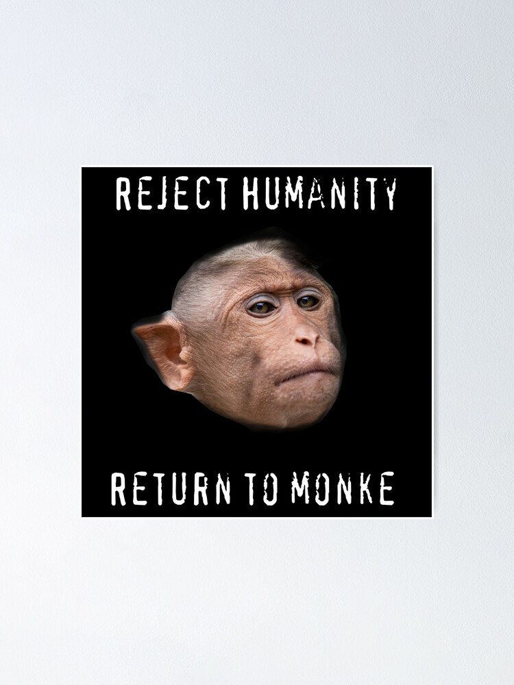 Return to Monke