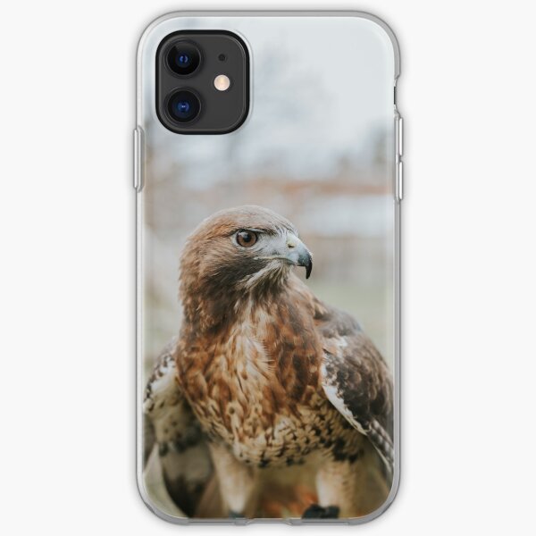 Red-Tailed Hawk iphone 11 case Red-Tailed Hawk iphone 11 case
