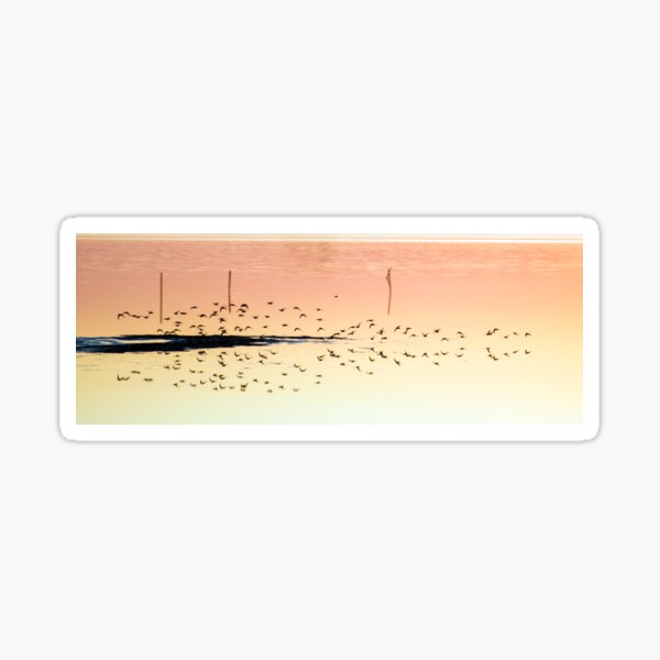 Item preview, Birds Reflected designed and sold by J. L. Gould.