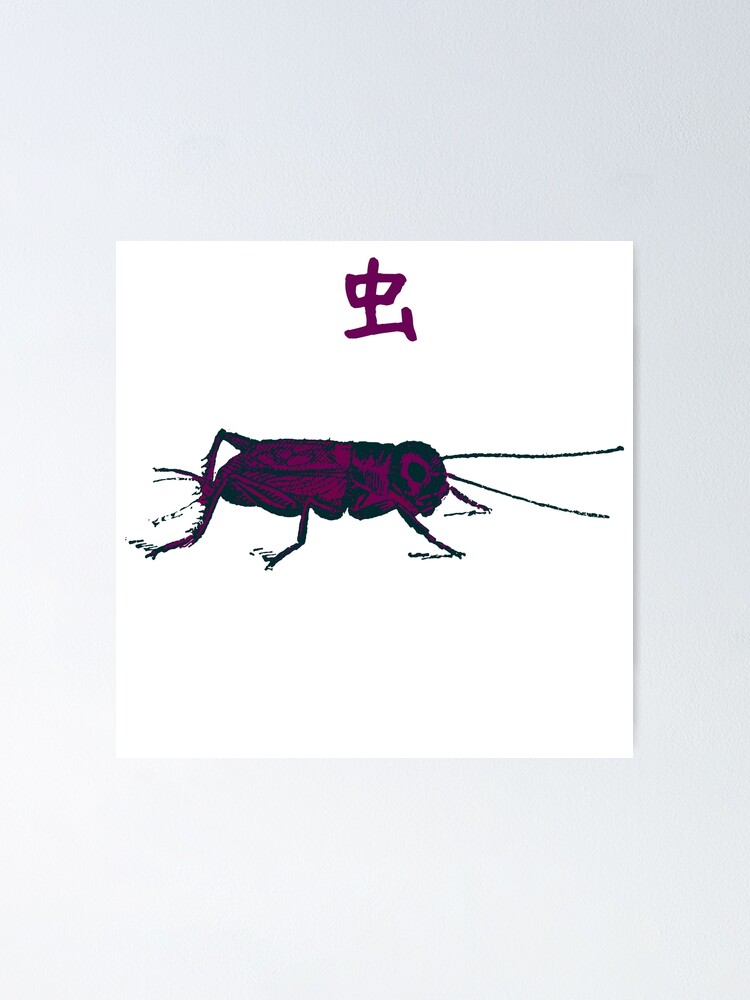 "Cricket 虫 Vintage Sketch Japanese Colorized" Poster for Sale by Snoot