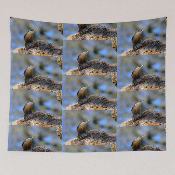 Item preview, Nuthatch........... designed and sold by lynn carter.