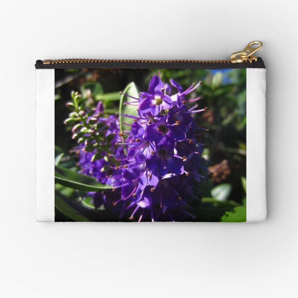 Hebe Zipper Pouch