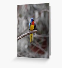 Bird On A Branch Greeting Card