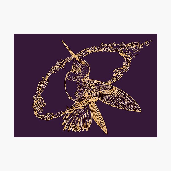 Hummingbird Ring - Light Design Photographic Print