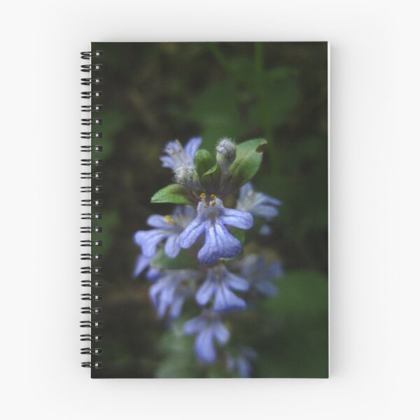 Item preview, Common Bugle designed and sold by IOMWildFlowers.