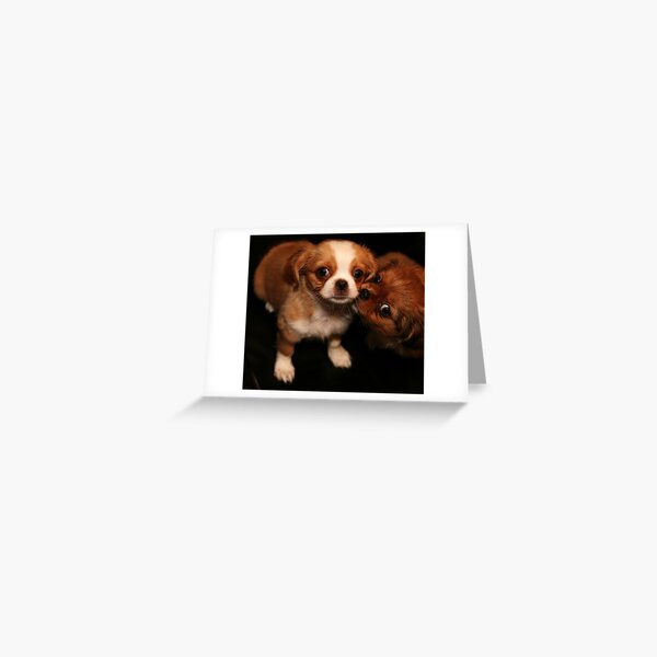 I love You Greeting Card