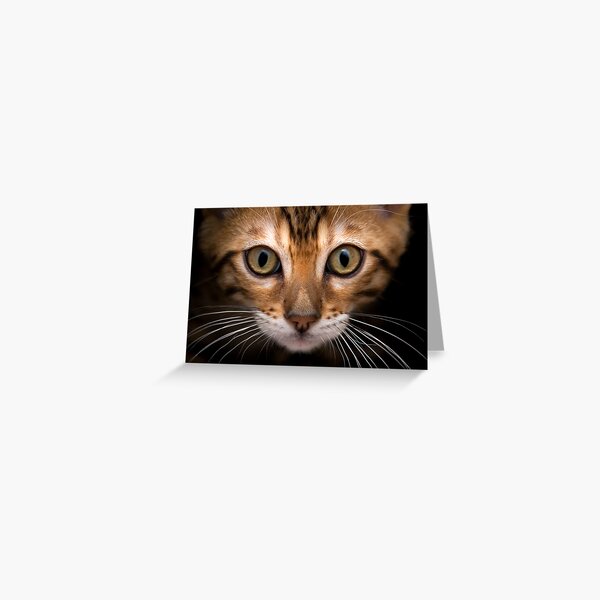 Out of the darkness Greeting Card