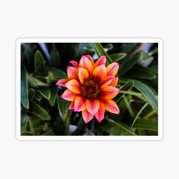Bright flower Sticker