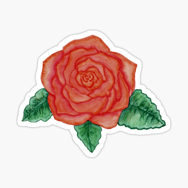 bright red rose watercolor Sticker