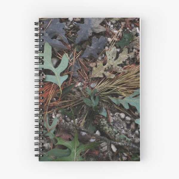 Item preview, Pine Barrens Microcosm designed and sold by RVogler.