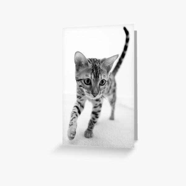 The curious incident of the George and the apparent three legs Greeting Card