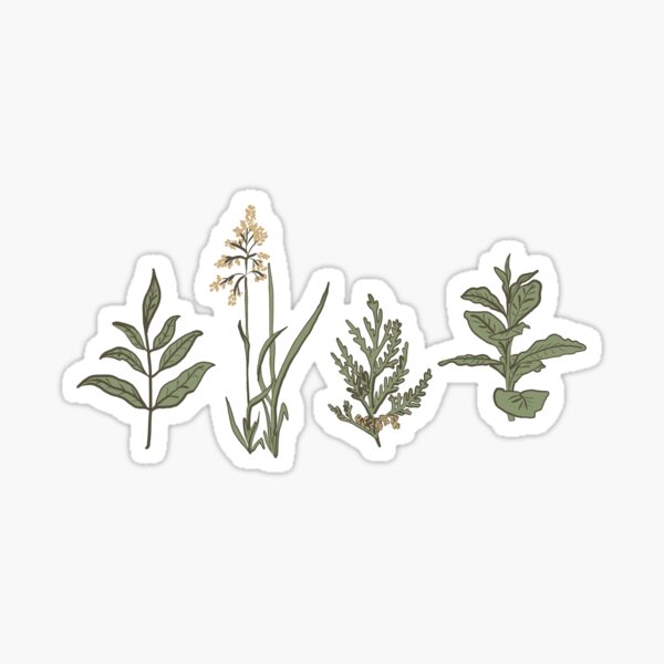 Item preview, four sacred medicines designed and sold by Willowlute.