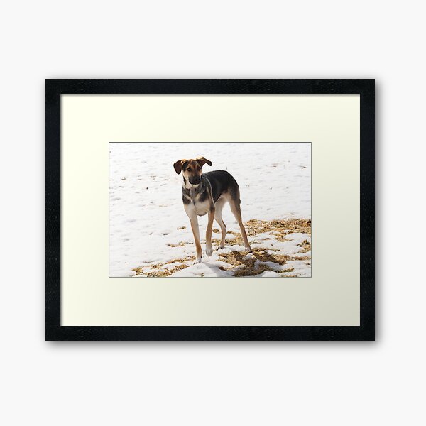 Untitled Framed Art Print